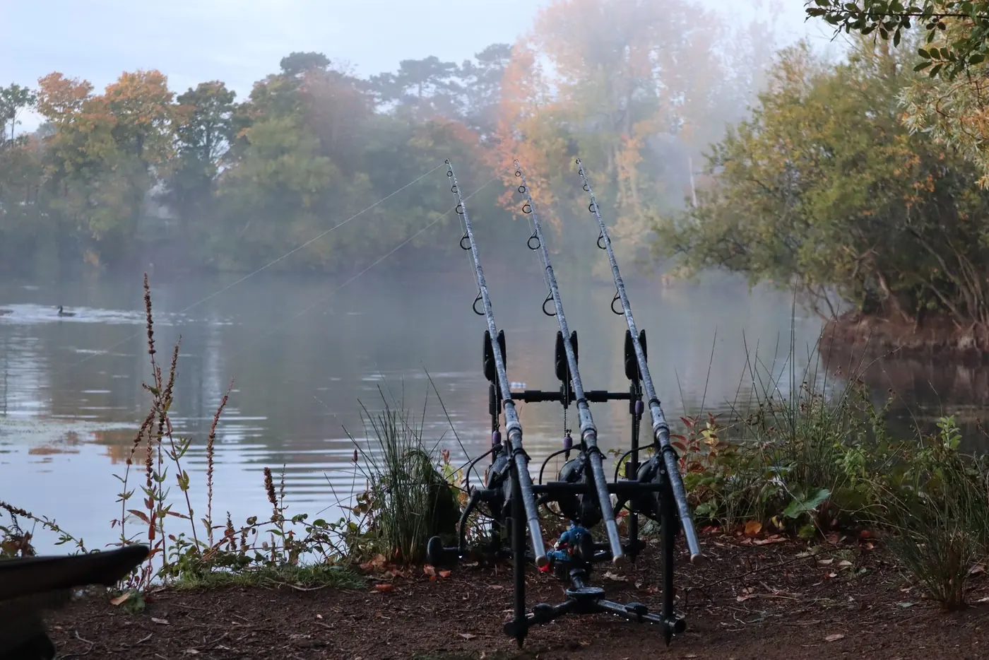 Fishing rods on stands beside a lake, with no people in the frame
